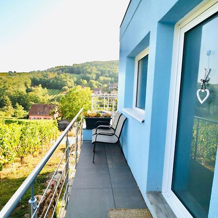 شقة Janea Big Blue House Reichsfeld المظهر الخارجي الصورة