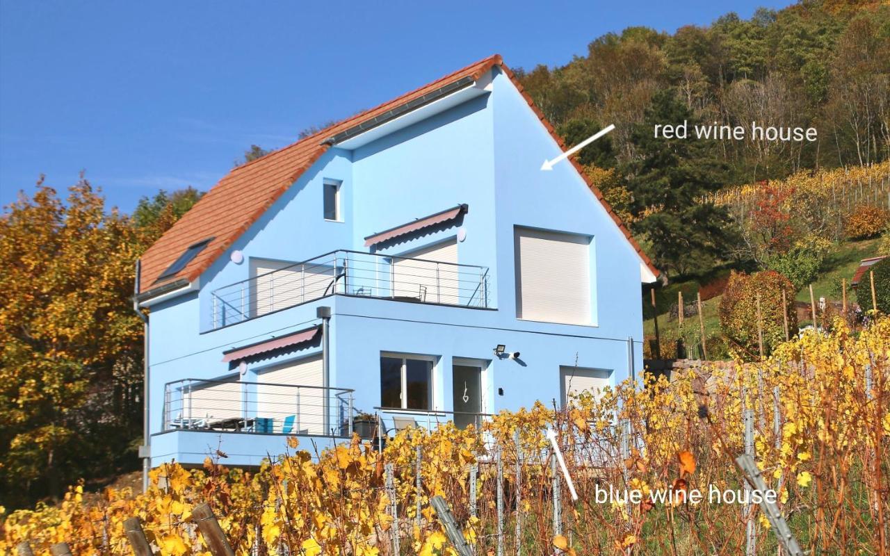 شقة Janea Big Blue House Reichsfeld المظهر الخارجي الصورة
