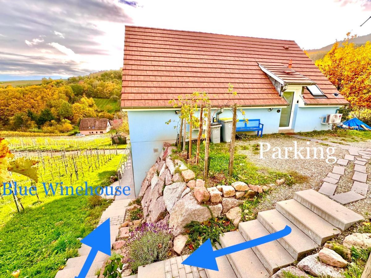 شقة Janea Big Blue House Reichsfeld المظهر الخارجي الصورة