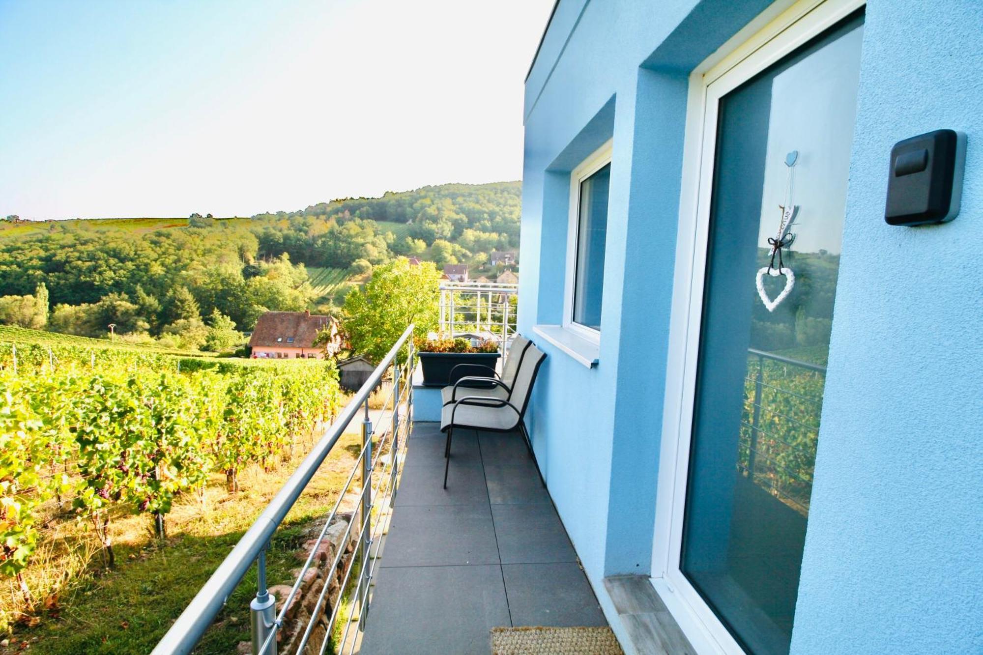 شقة Janea Big Blue House Reichsfeld المظهر الخارجي الصورة
